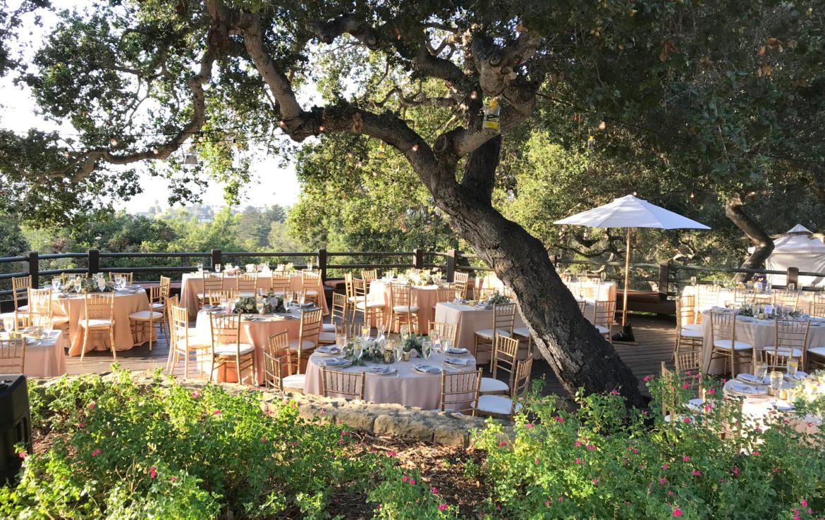 The Wedding Website of Joe Celebrezze and Ariana Escobedo