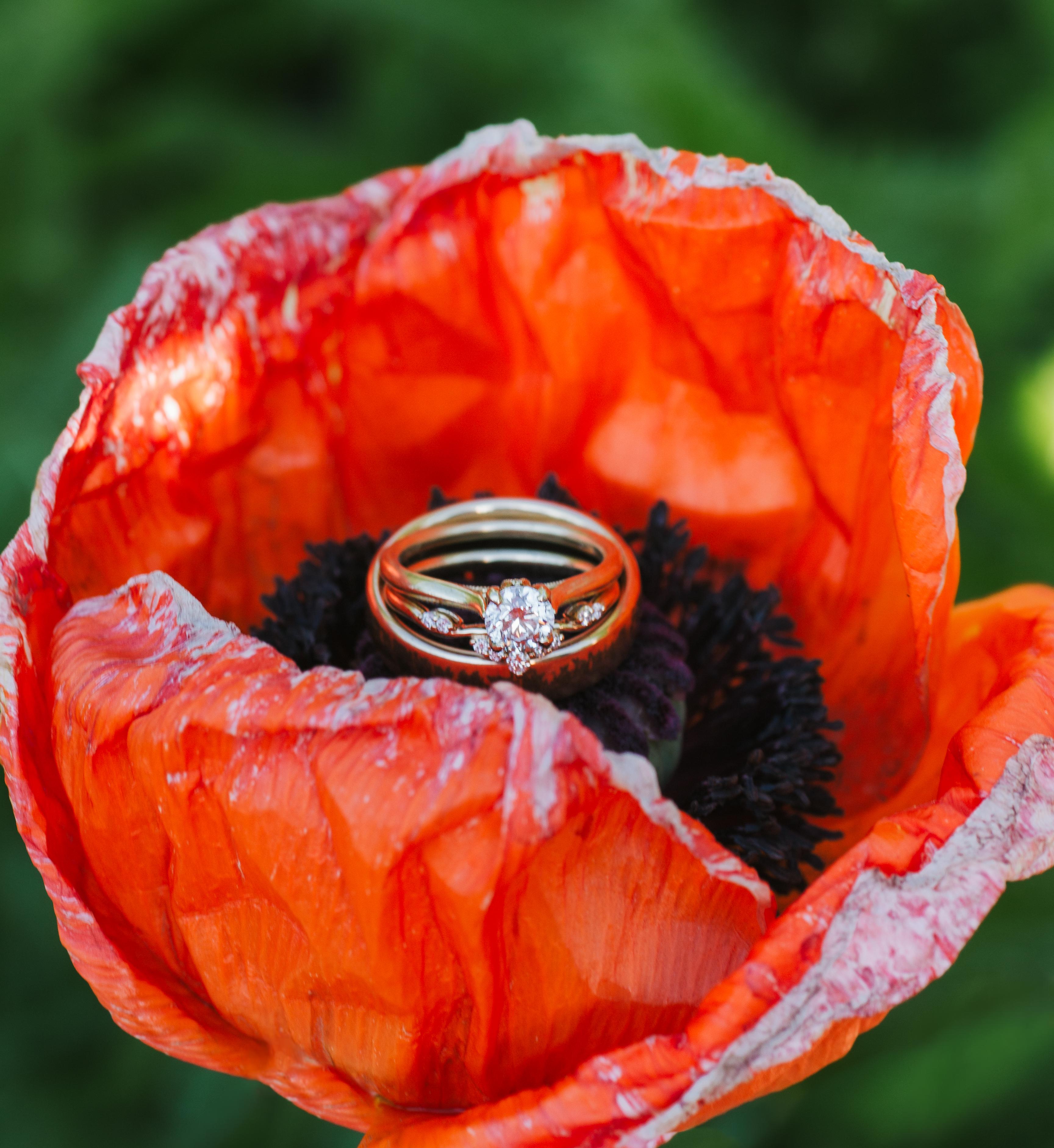 The Wedding Website of Allison Babberl and Noah Surber