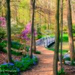 Edith J. Carrier Arboretum