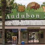 Audubon Zoo
