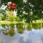 Wickham Park