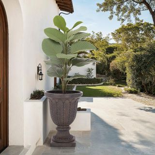 Apollo Planter Pot
