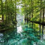Ginnie Springs