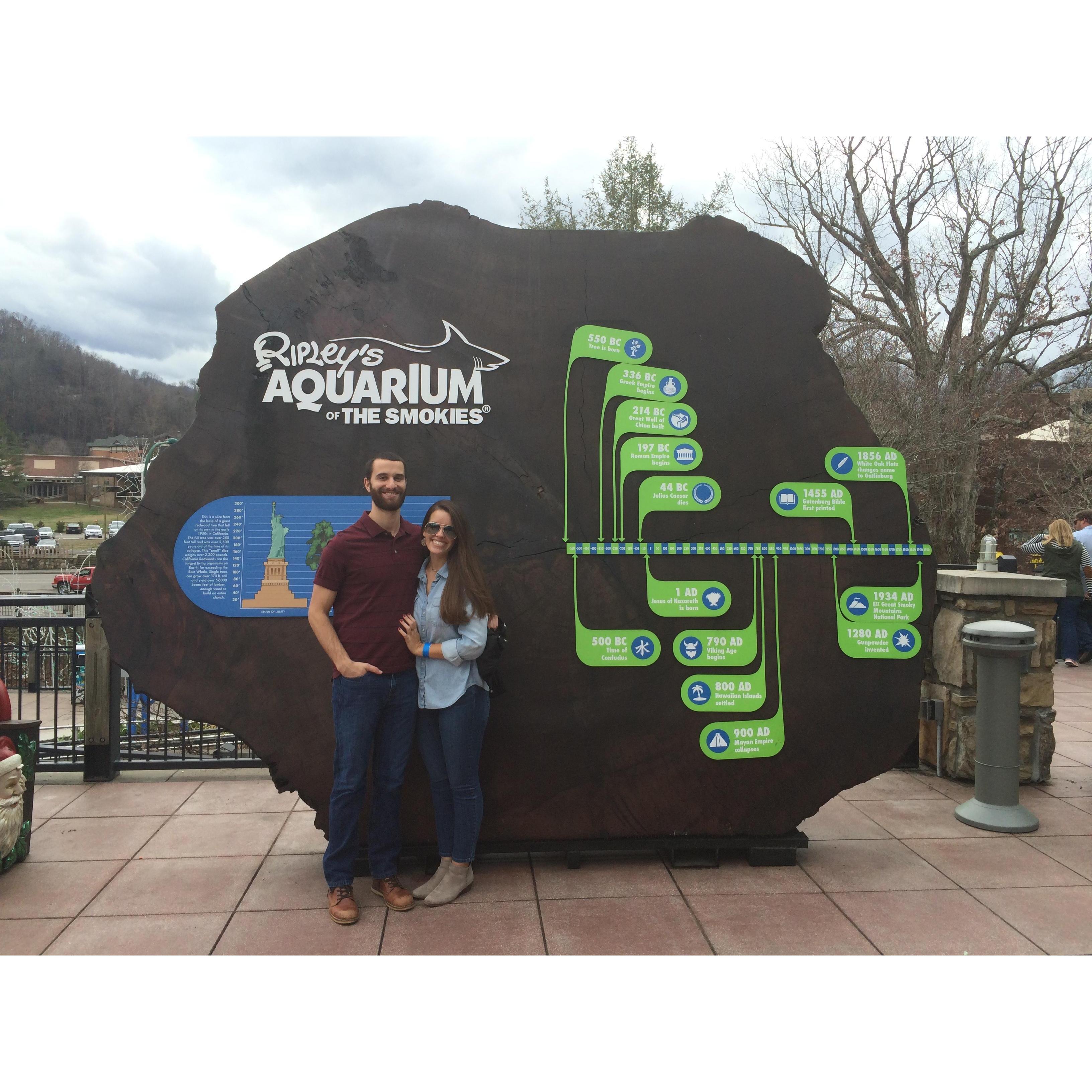 January 2017 - while in Gatlinburg, TN we went to Ripley's Aquarium
