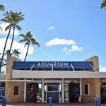 Waikiki Aquarium