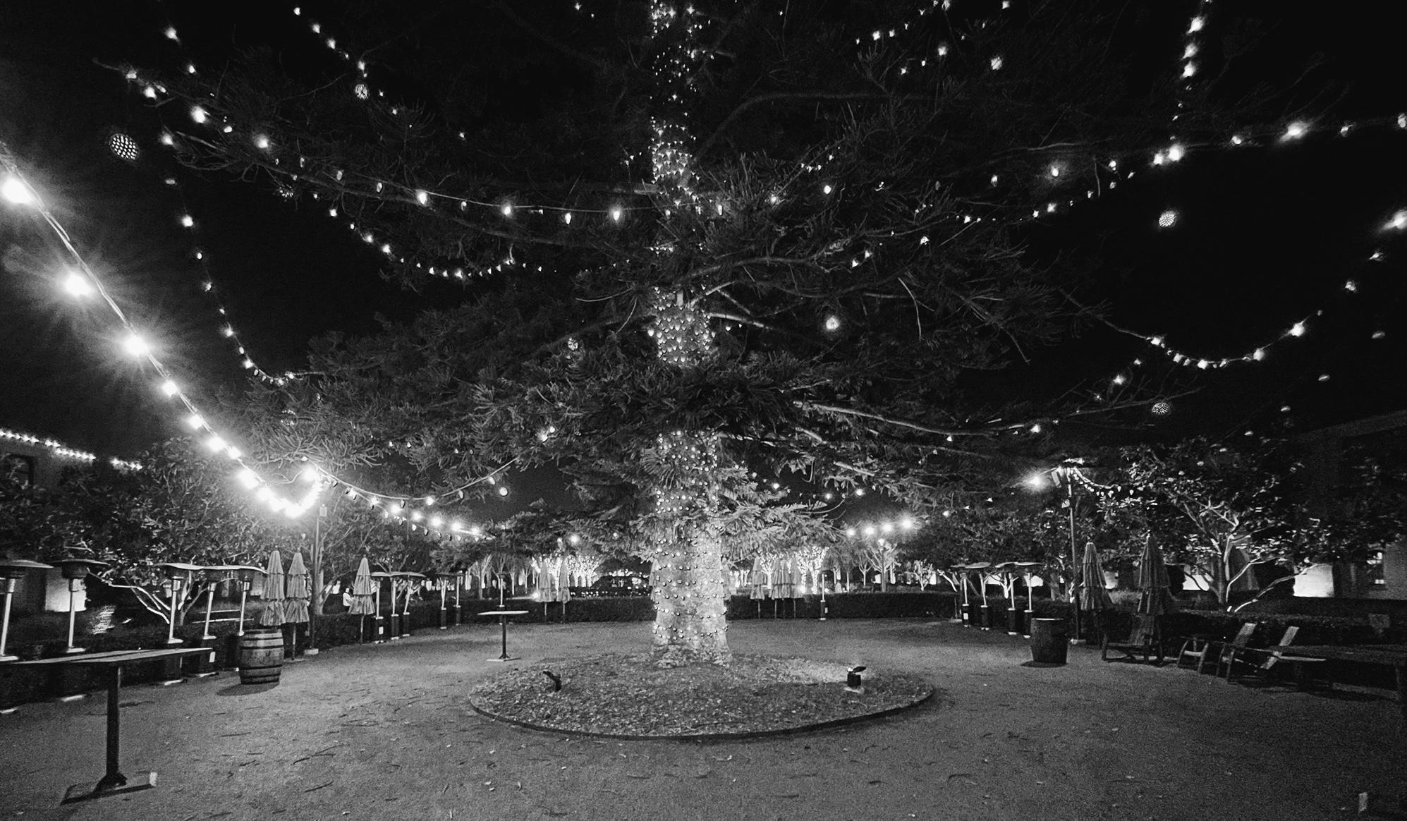 The Wedding Website of Staci Bell and Kurt Kettenacker