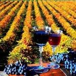 Woodinville Wine Country