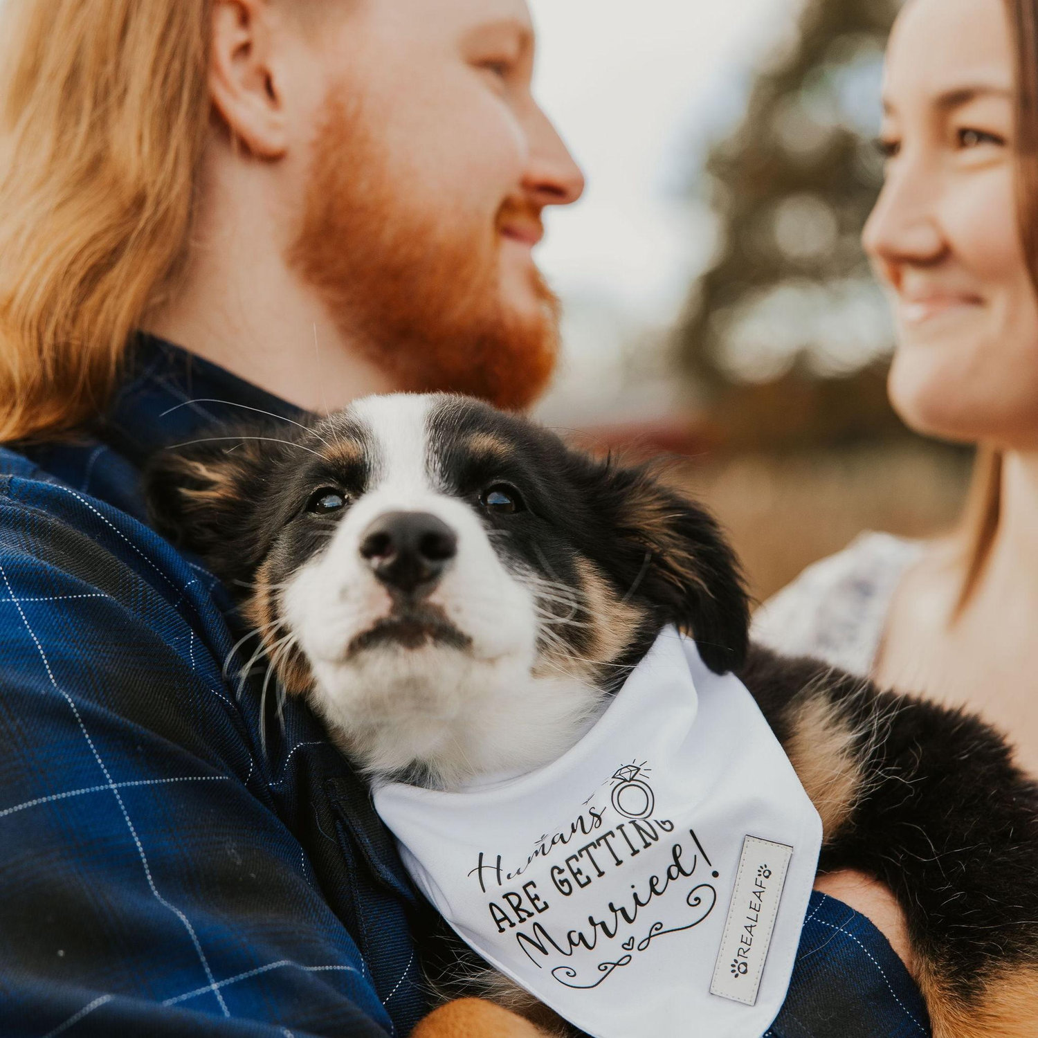 My Humans are Getting Married!