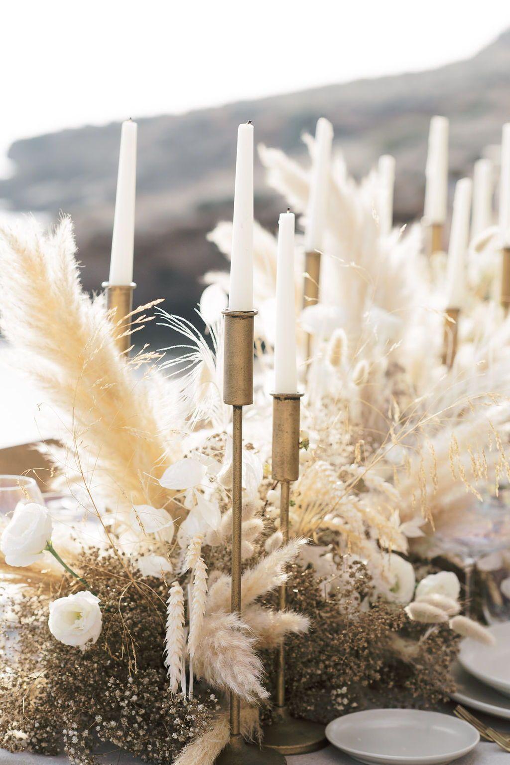 The Wedding Website of Tasha Walker and Joshua Bloom