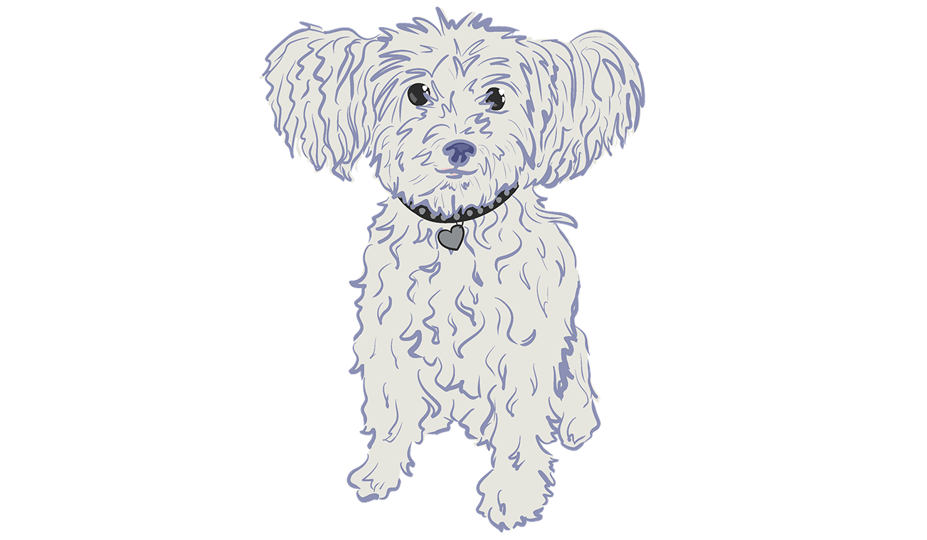 Footer image