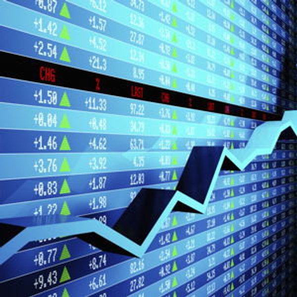 Our Stock Market Fund