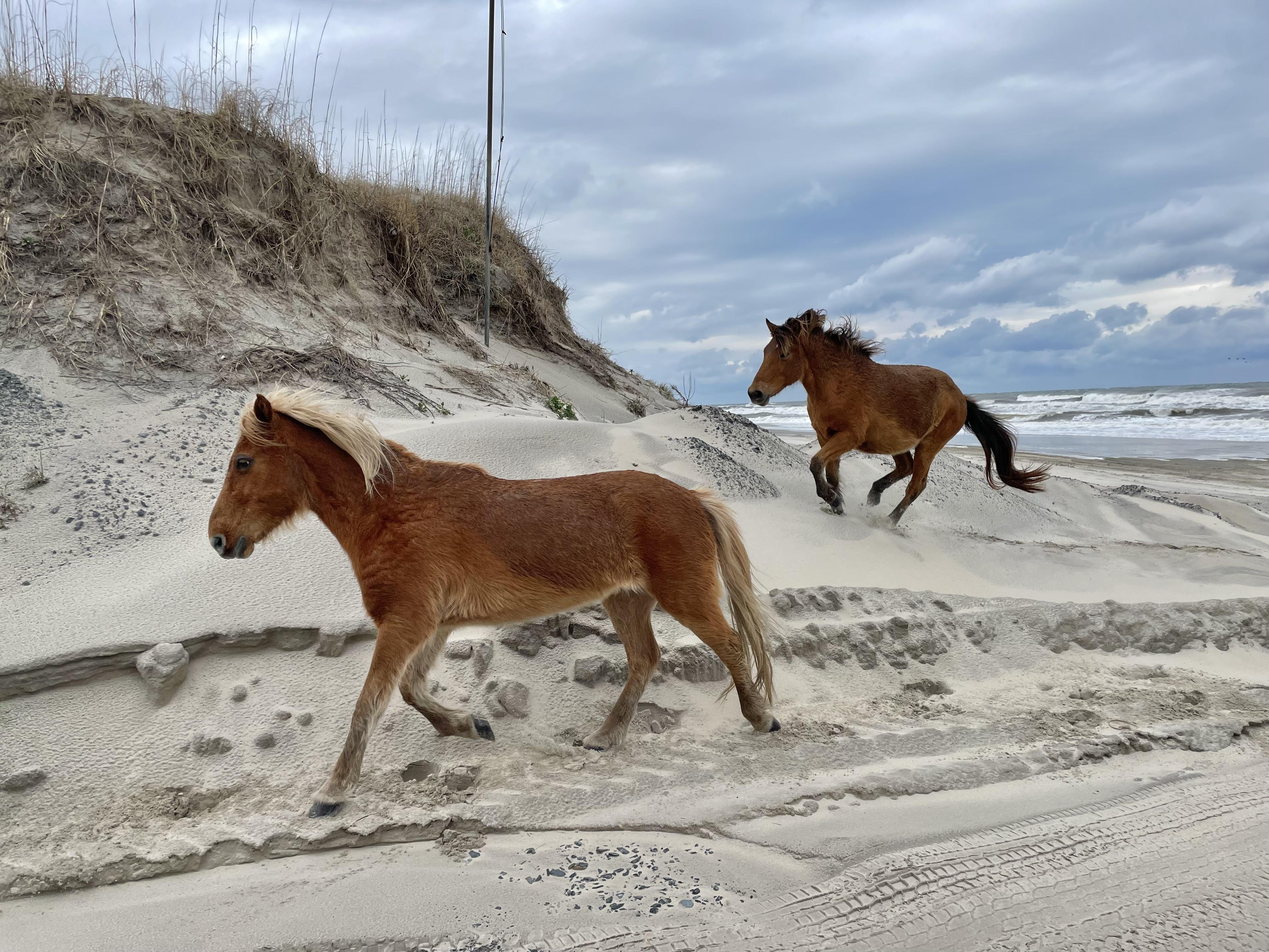 The Wedding Website of Taylor Aljian and Mason Resende