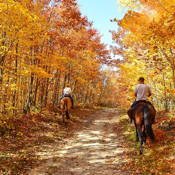 Horseback Riding On Our Honeymoon