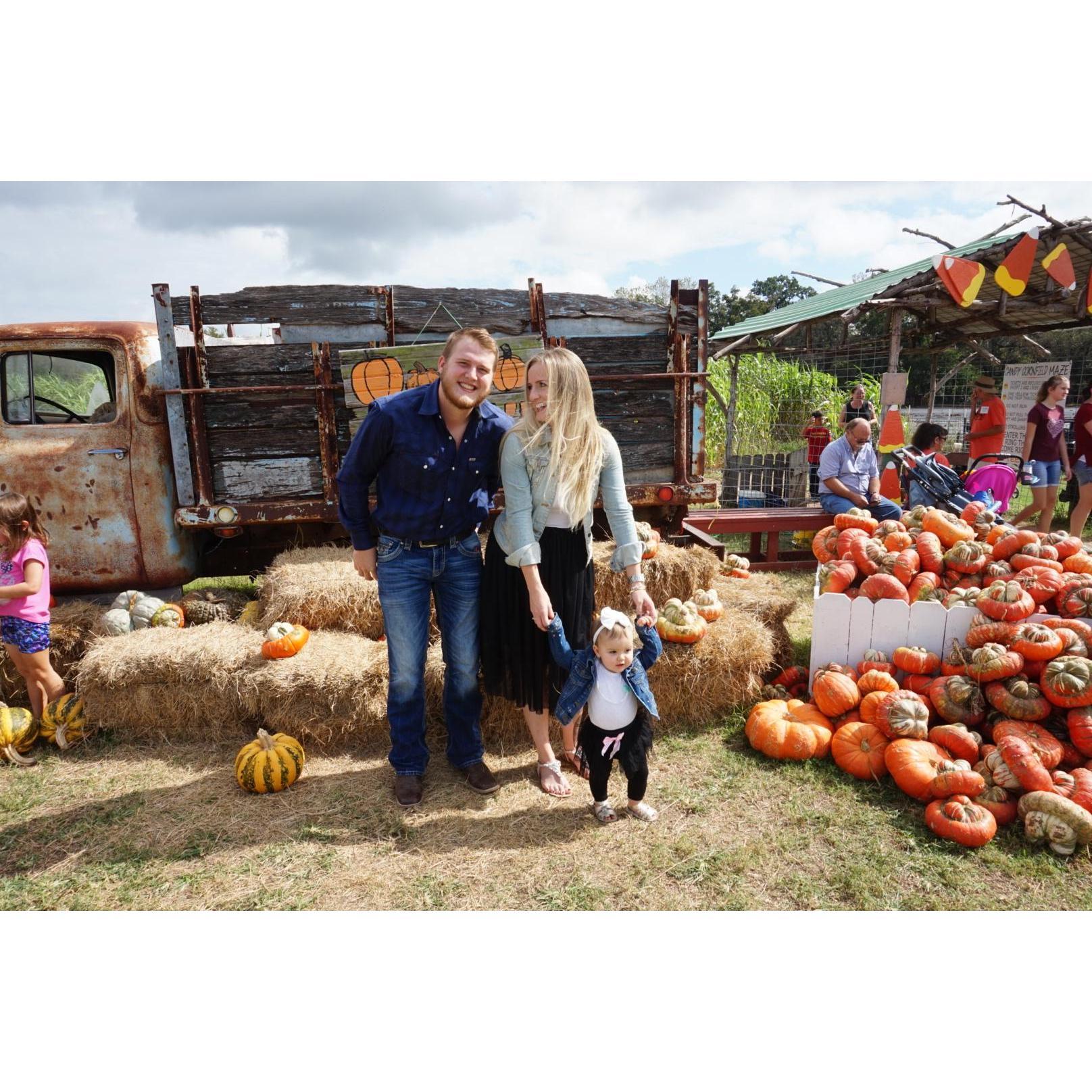 Trip to the pumpkin patch in Austin in 2018.