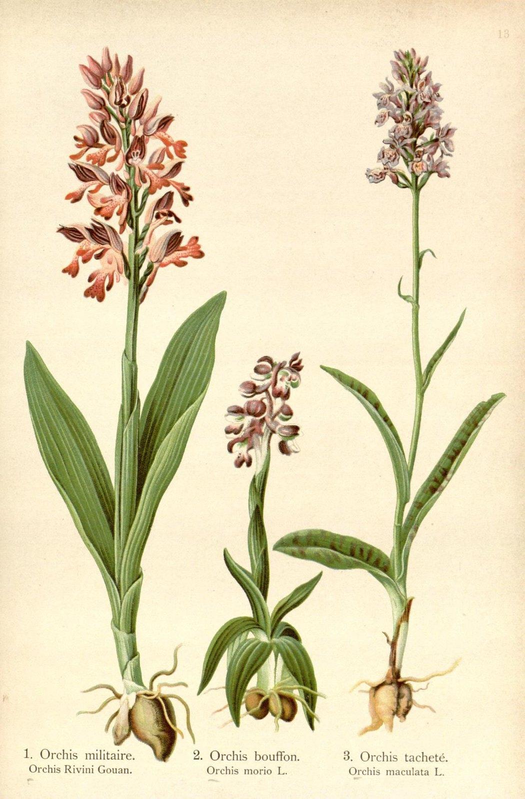 The Wedding Website of Lily Kingsolver and Phillip Hall