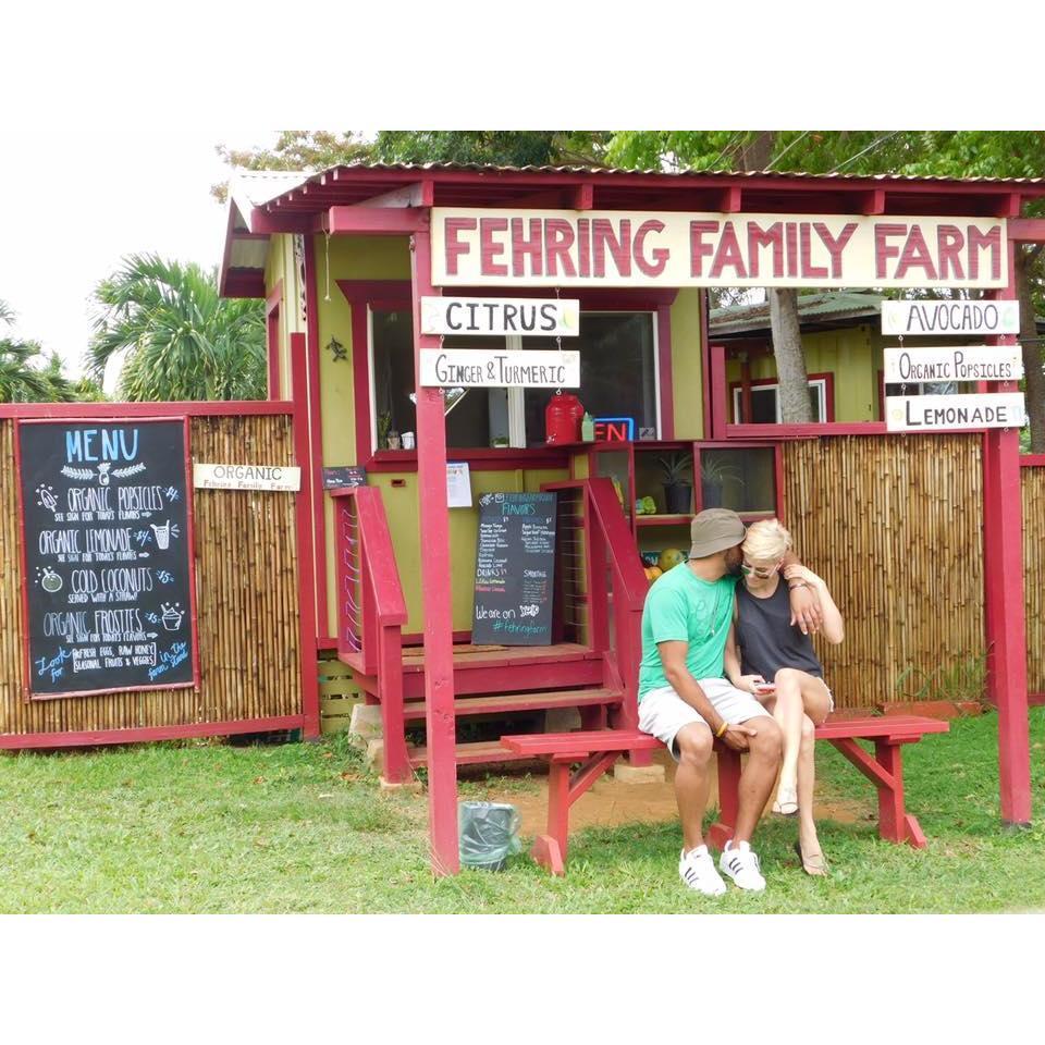 Frozen fruit stand in Hawaii