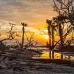 Hunting Island State Park Beach