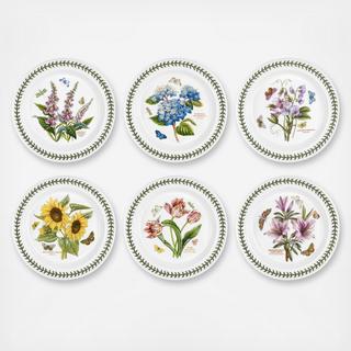 Botanic Garden Assorted Dinner Plate, Set Of 6