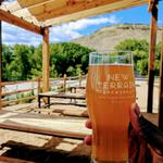 New Terrain Brewing Company