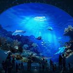 Seattle Aquarium