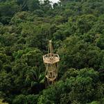 Panama Rainforest Discovery Center