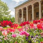 Baden-Baden