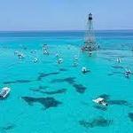 Alligator Reef