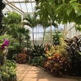 Daniel Stowe Botanical Garden