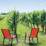 Newport Vineyards & Restaurant