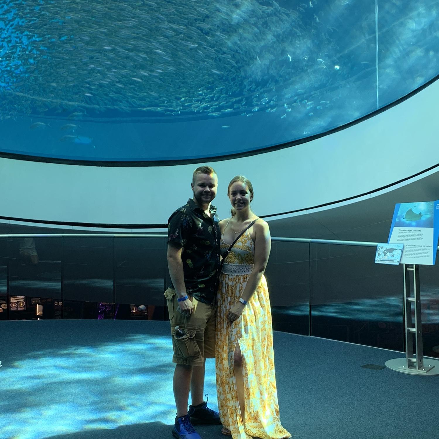 Miami aquarium