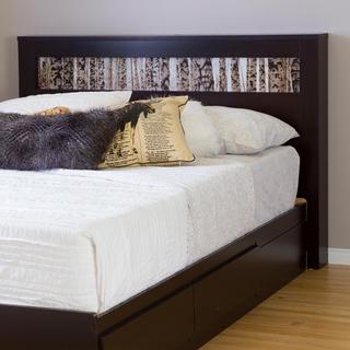 Vito Headboard with Birch Print Insert