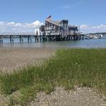 Wollaston Beach