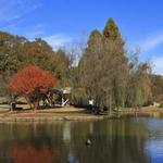 Freedom Park