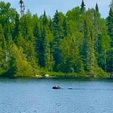 Old Gunflint Trail