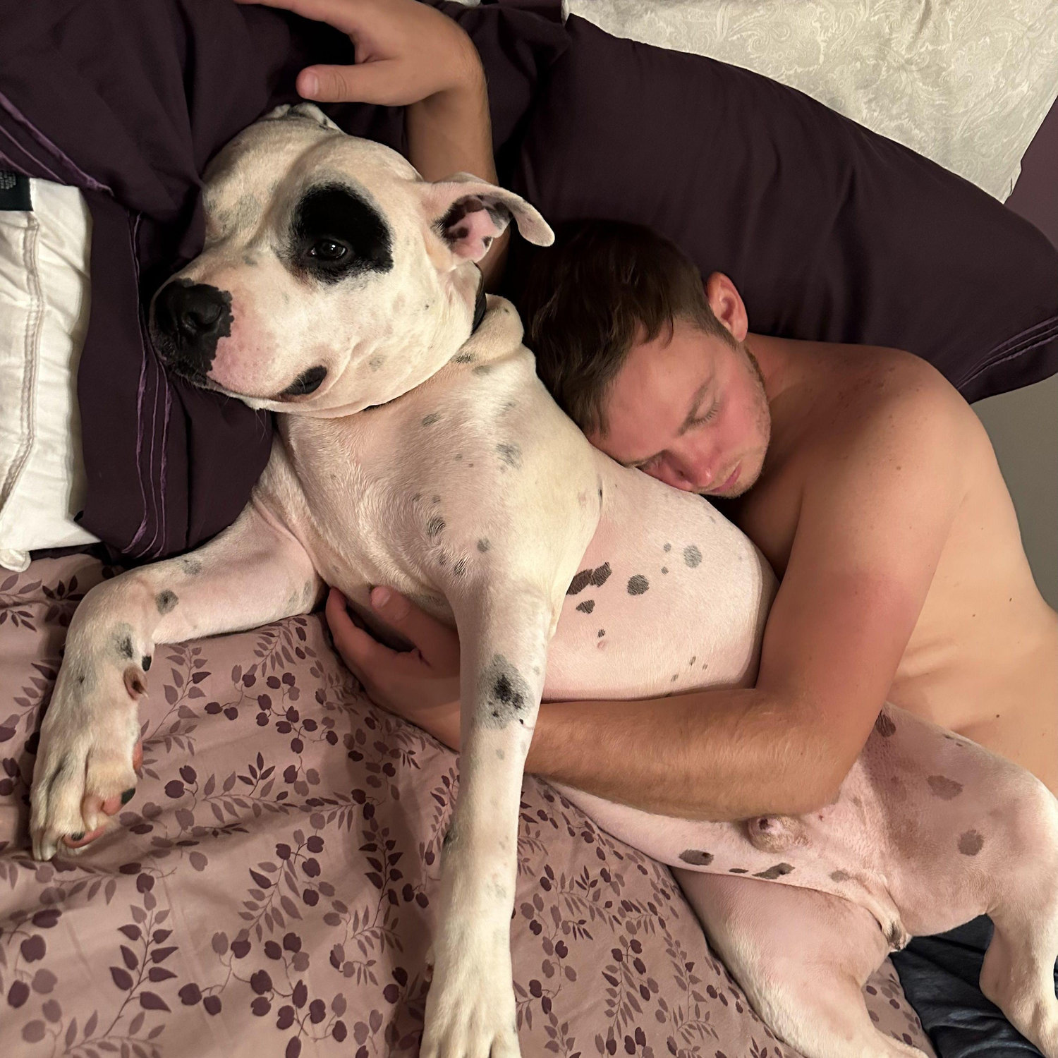 Oct. 7, 2023 - The love affair between Odin and Joey blossoms