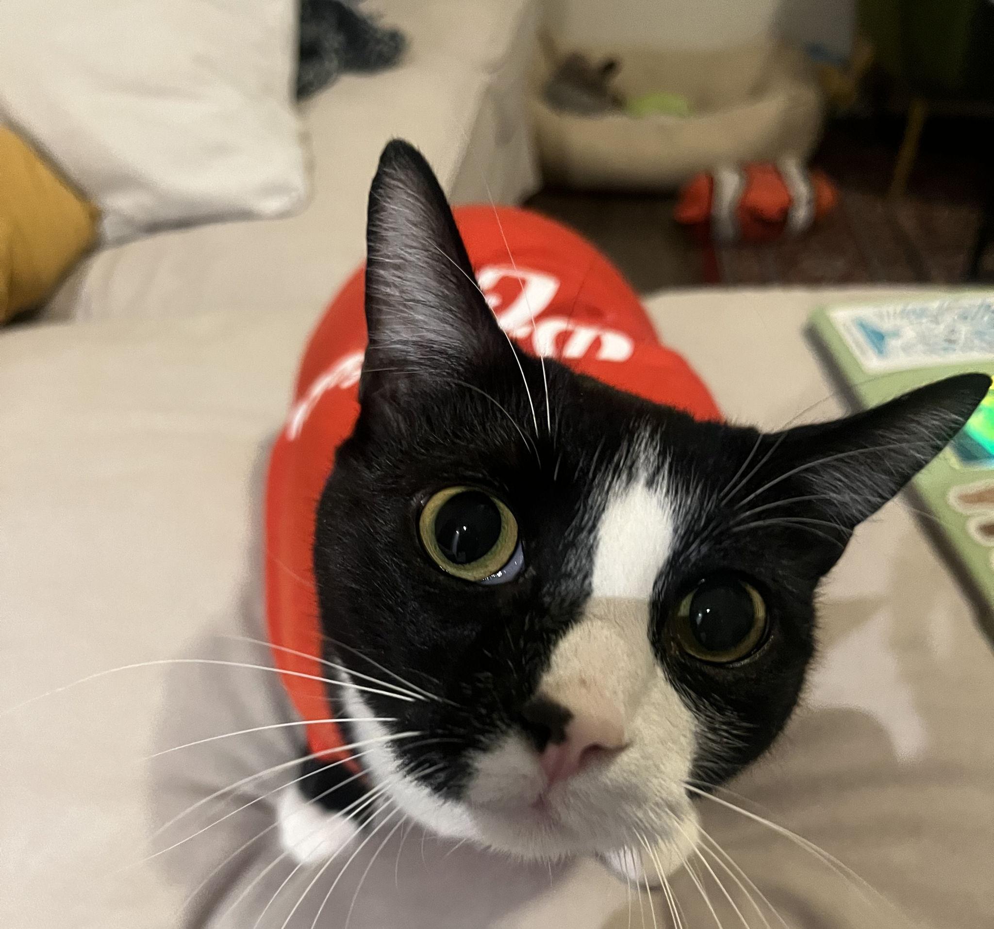 The Wedding Website of Aimée Jones Wilkerson and Eduardo Flores