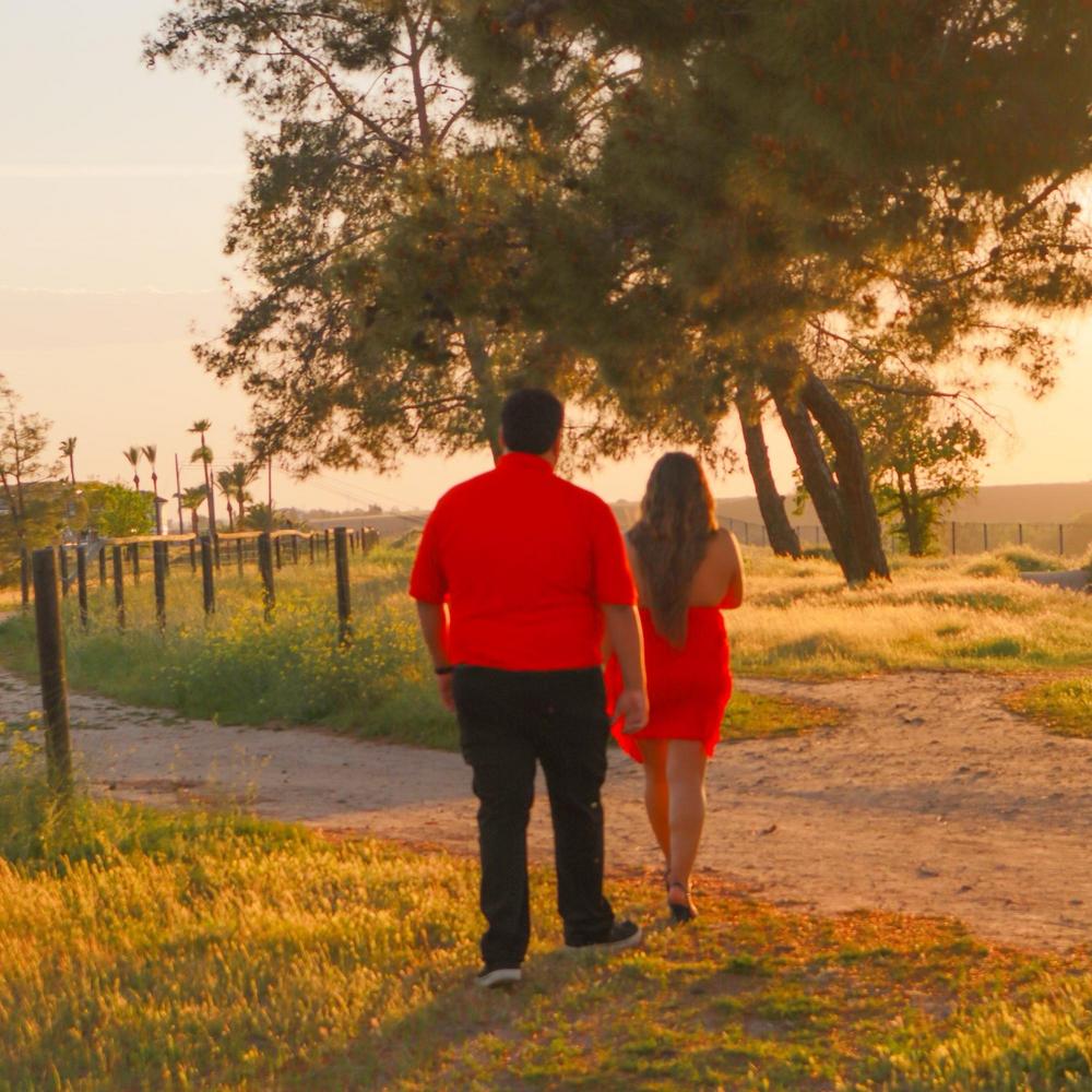 Pedro Gonzalez and Alicia Merino's Wedding Website, image size:1000x1000