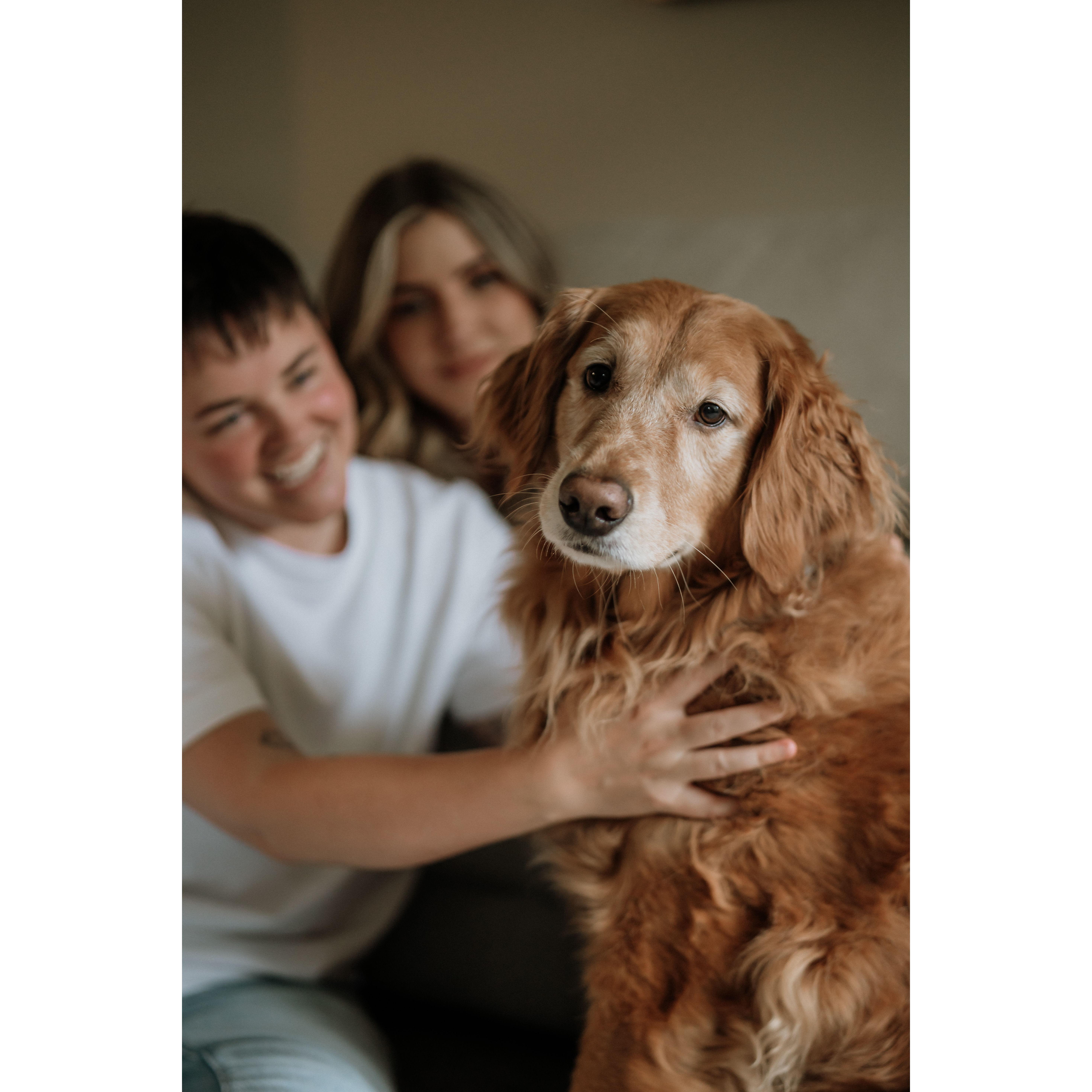 One of our favorite boys, Bauer!