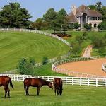 Visit Horse Country - Farm Tours