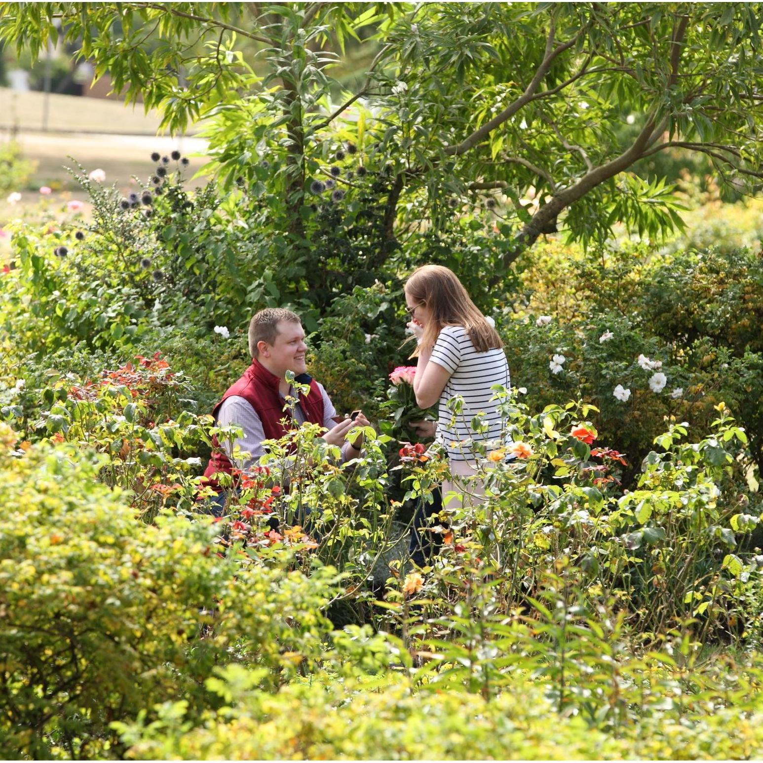 He asked...She said “YES!”
The happiest moment of my life in Queen Elizabeth Park, Vancouver Canada