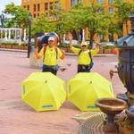 Free Walking Tour