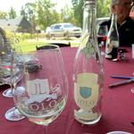 JOLO Winery & Vineyards