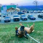 Bellvale Farms Creamery