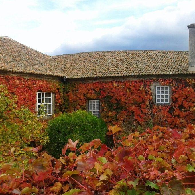 Os noivos reservaram 2 quartos duplos na Quinta (de sáb. para dom.). Assim podem festejar sem preocupações. Se necessário, usem estes quartos. Para mais alojamento, avisem-nos por favor.