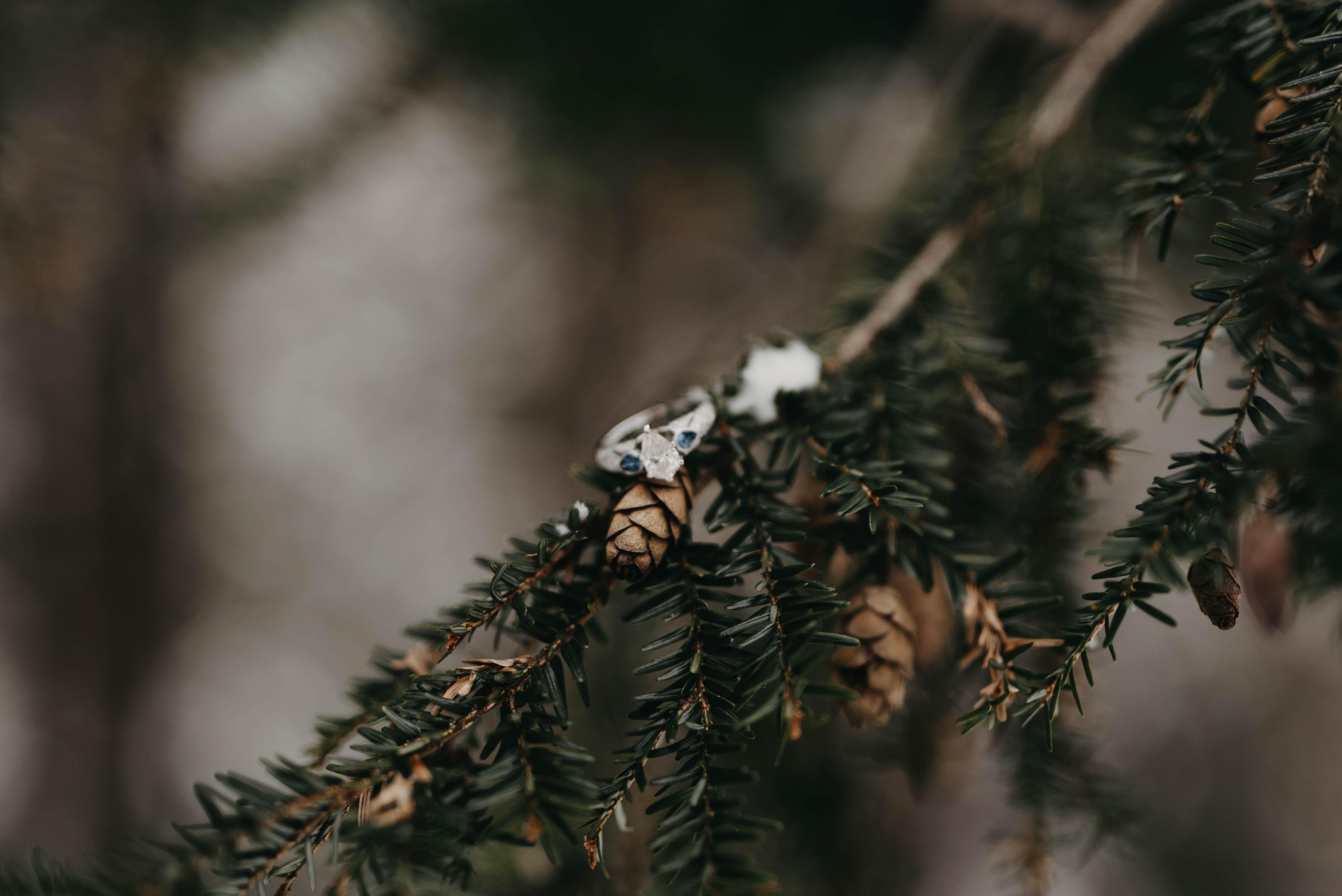 The Wedding Website of Madison Weiner and Joseph Weiner