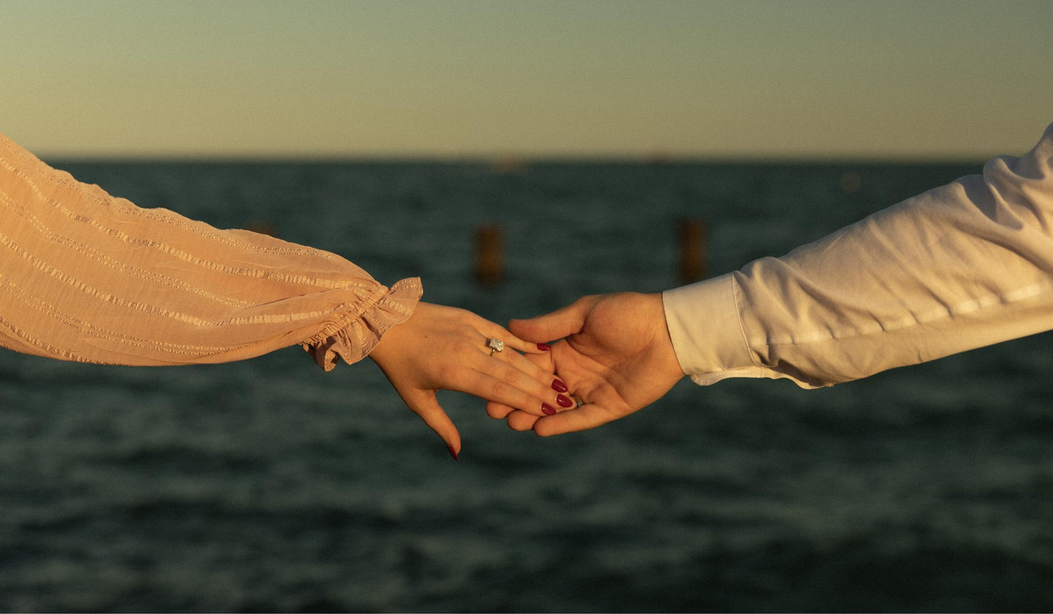 The Wedding Website of Taylor Hall and Matthew Frost