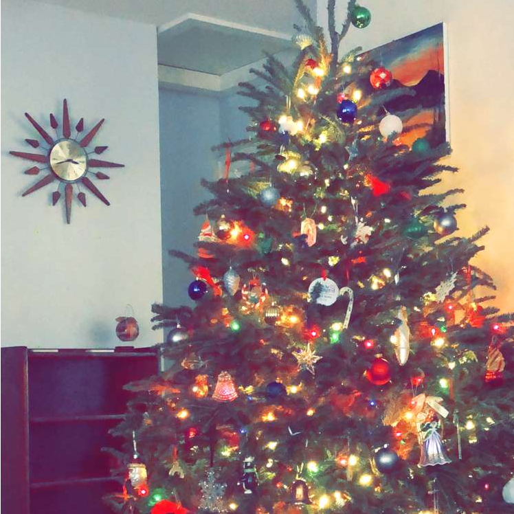 Our first Christmas decorating our own house!