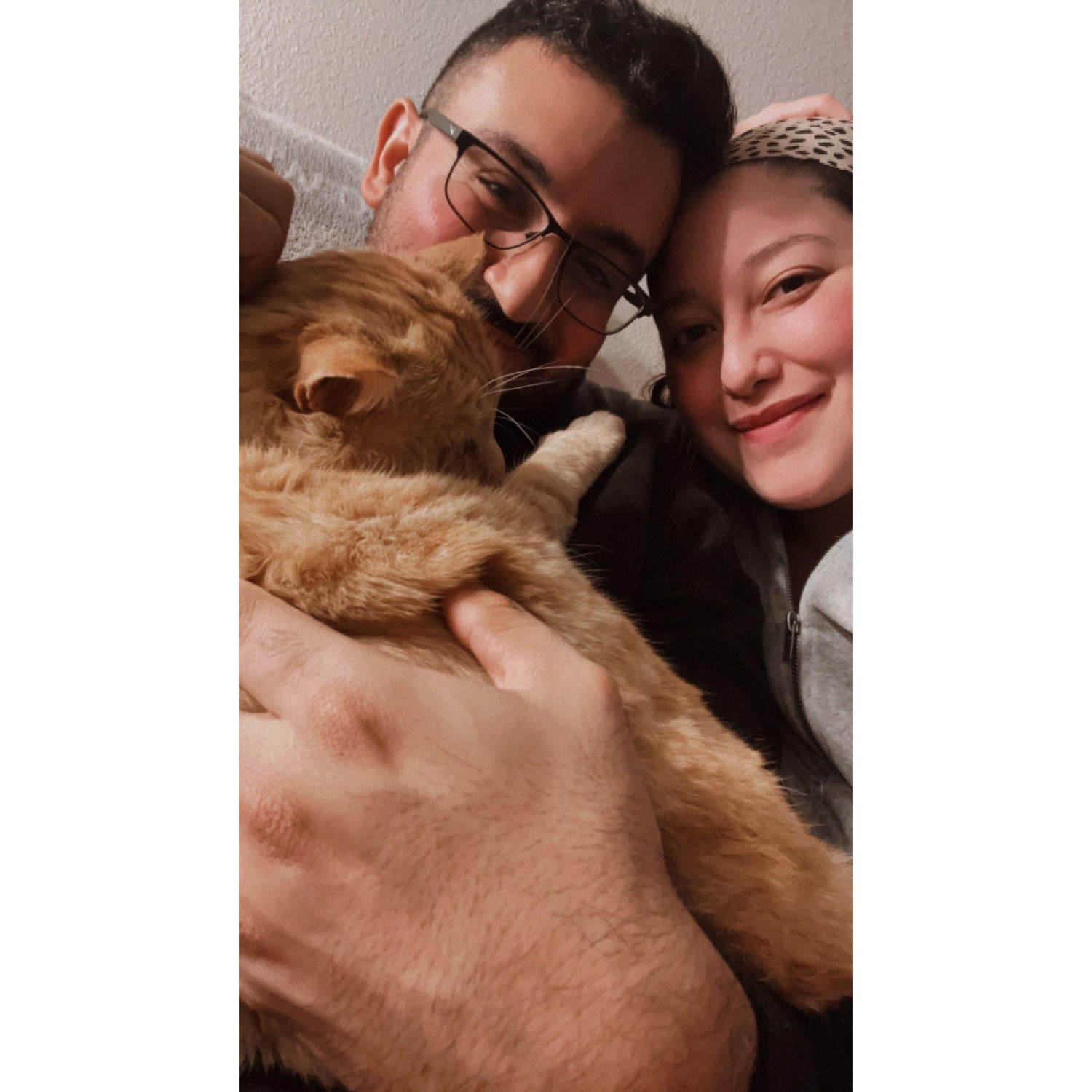 Our sweet boy O'malley. He made the first few months of moving in together feel like home.
