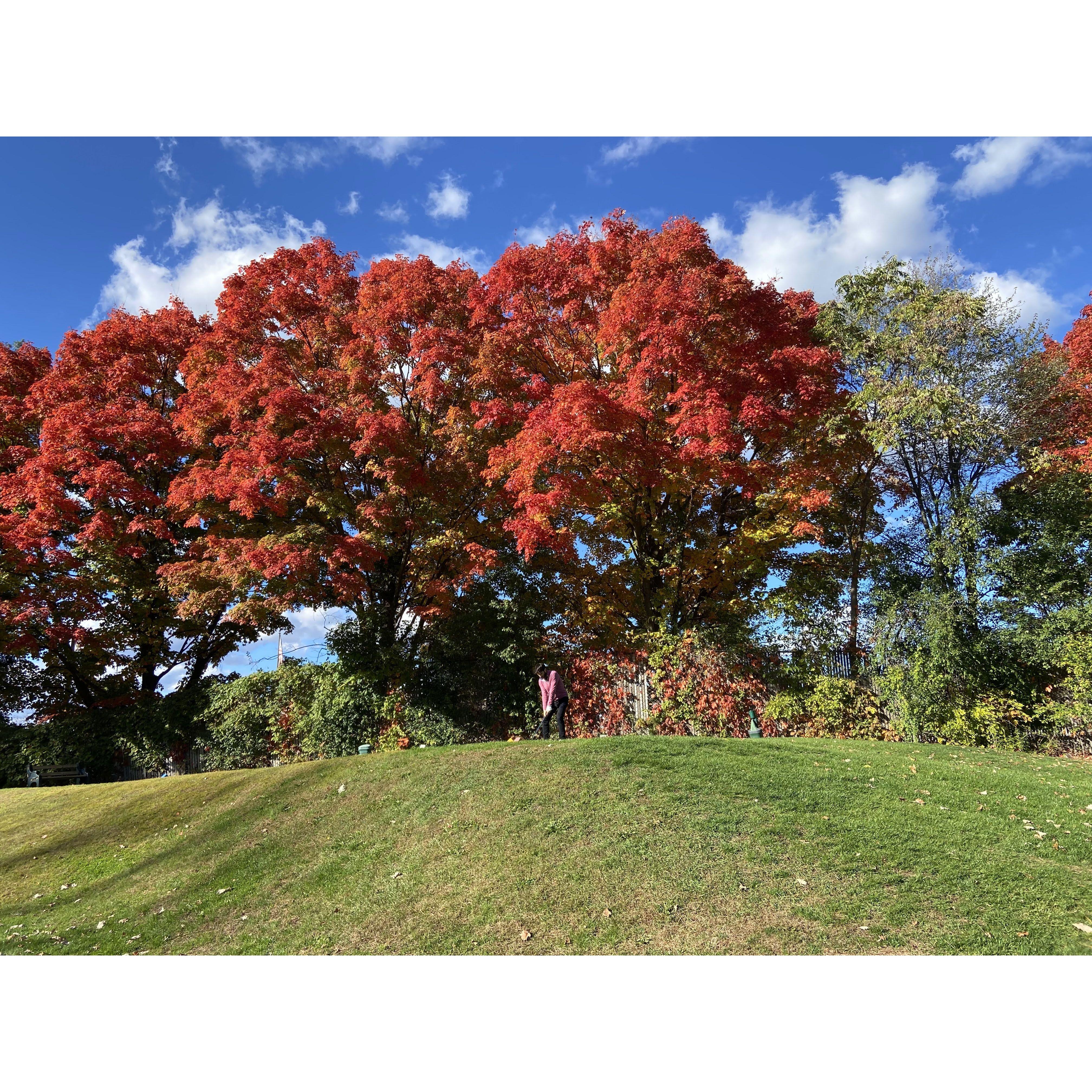 A gorgeous fall golfing day in Beacon (October 2022)