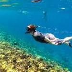 Paddle board and snorkeling
